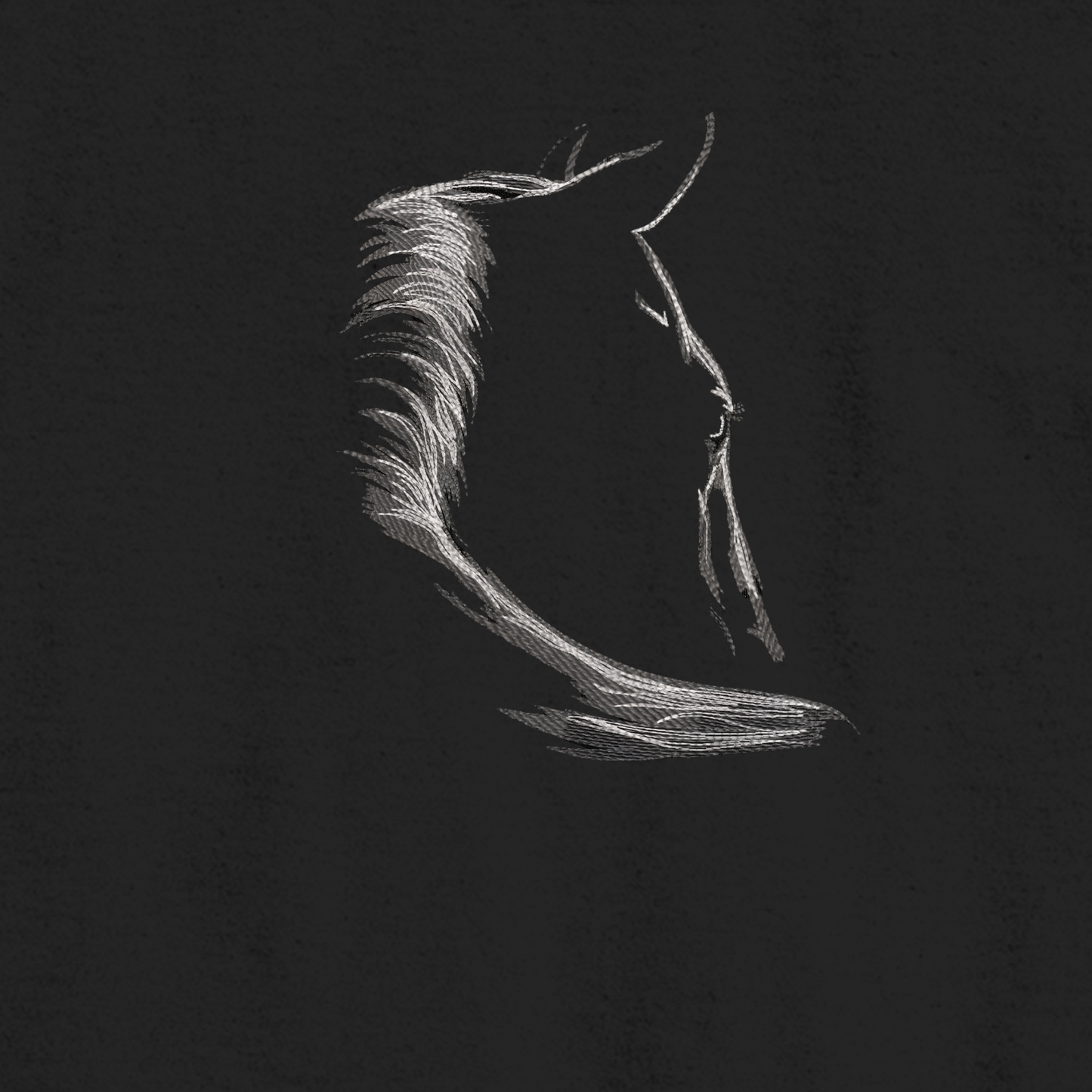 Horse Silhouette Embroidred Unisex Tshirt